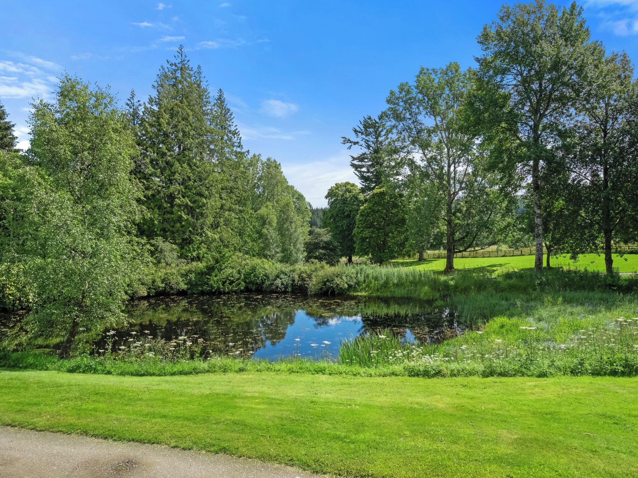 A serene park with a pond, lush greenery, and a clear blue sky.