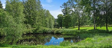 A serene park with a pond, lush greenery, and a clear blue sky.