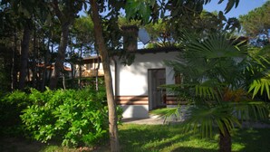 A small, single-story building with a white exterior and a door, surrounded by lush greenery and trees. - Cozy Villa Close to the Beach (Lignano Sabbiadoro)