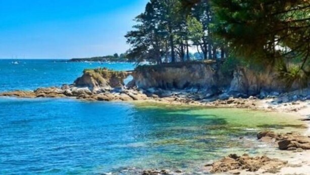 Escena de playa costera con agua azul cristalina, costa rocosa y densos pinos.