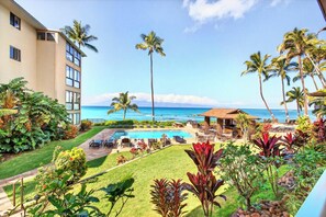 Pool - Studio with a million dollar view (Lahaina)