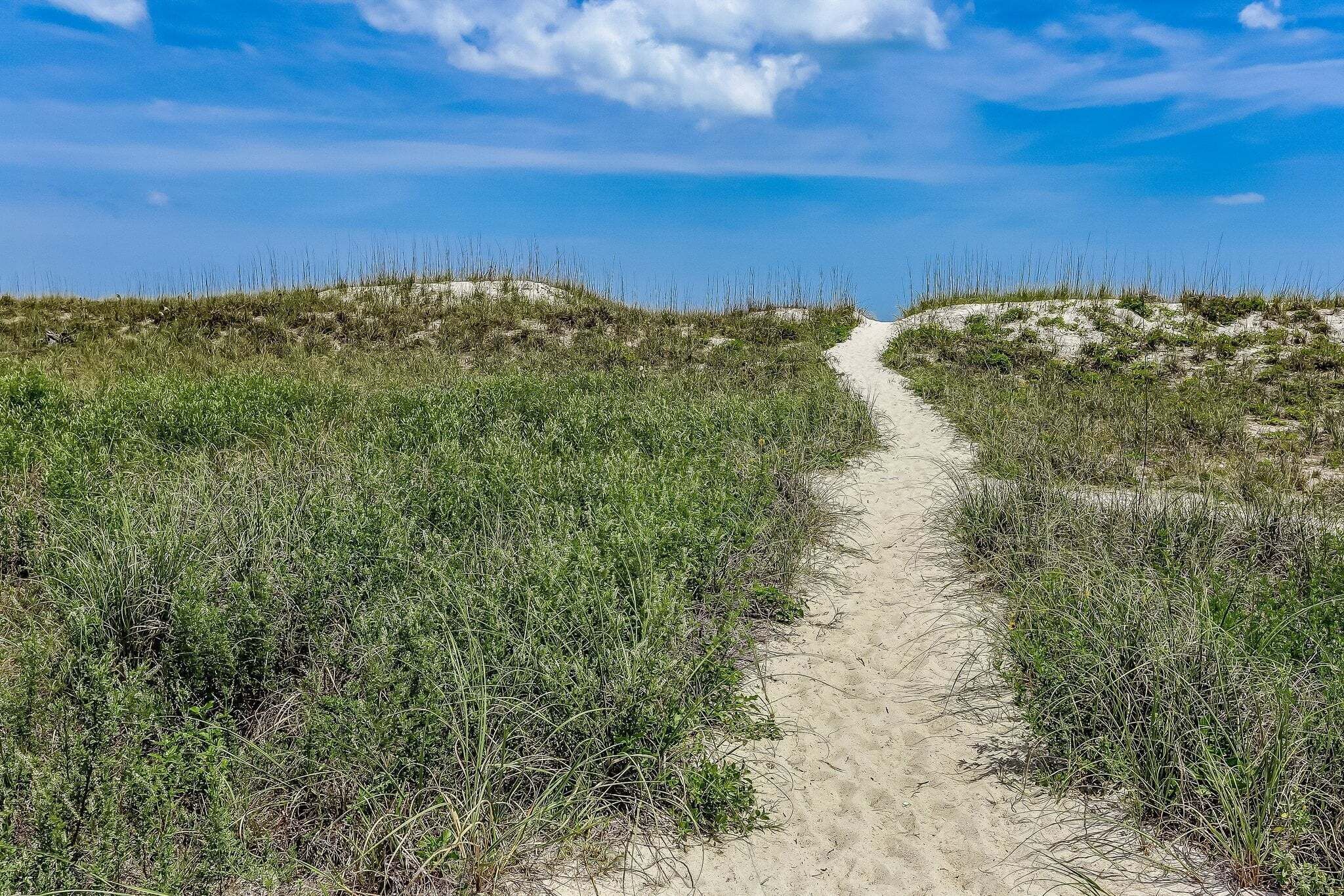 Un sentier sablonneux traverse une zone herbeuse, avec des dunes en arrière-plan.