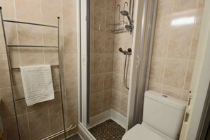 A shower with a glass door, a towel rack with a towel, and a toilet. - Studio 15m², avec terrasse et place de parking (Aix-les-Bains)