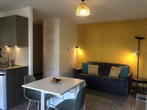 TV - Appartement T2 45m² 1 chambre, parking, terrasse (Aix-les-Bains)