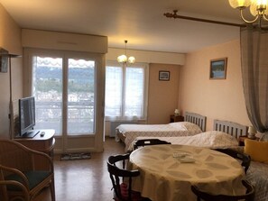 Iron/ironing board, WiFi, bed sheets - Appartement T1 29 m², lumineux, Vue lac,  garage (Aix-les-Bains)