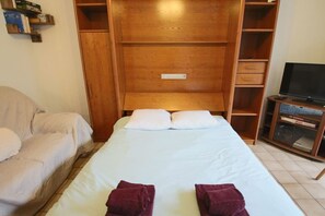 Iron/ironing board, free WiFi, bed sheets - Studio 24 m², terrasse, parking, climatisation (Aix-les-Bains)