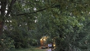 Un chemin de gravier mène à une structure en bois illuminée de guirlandes lumineuses, le tout étant entouré d’un feuillage dense.