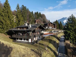 Exterior - Regina D1 by Interhome (Villars)