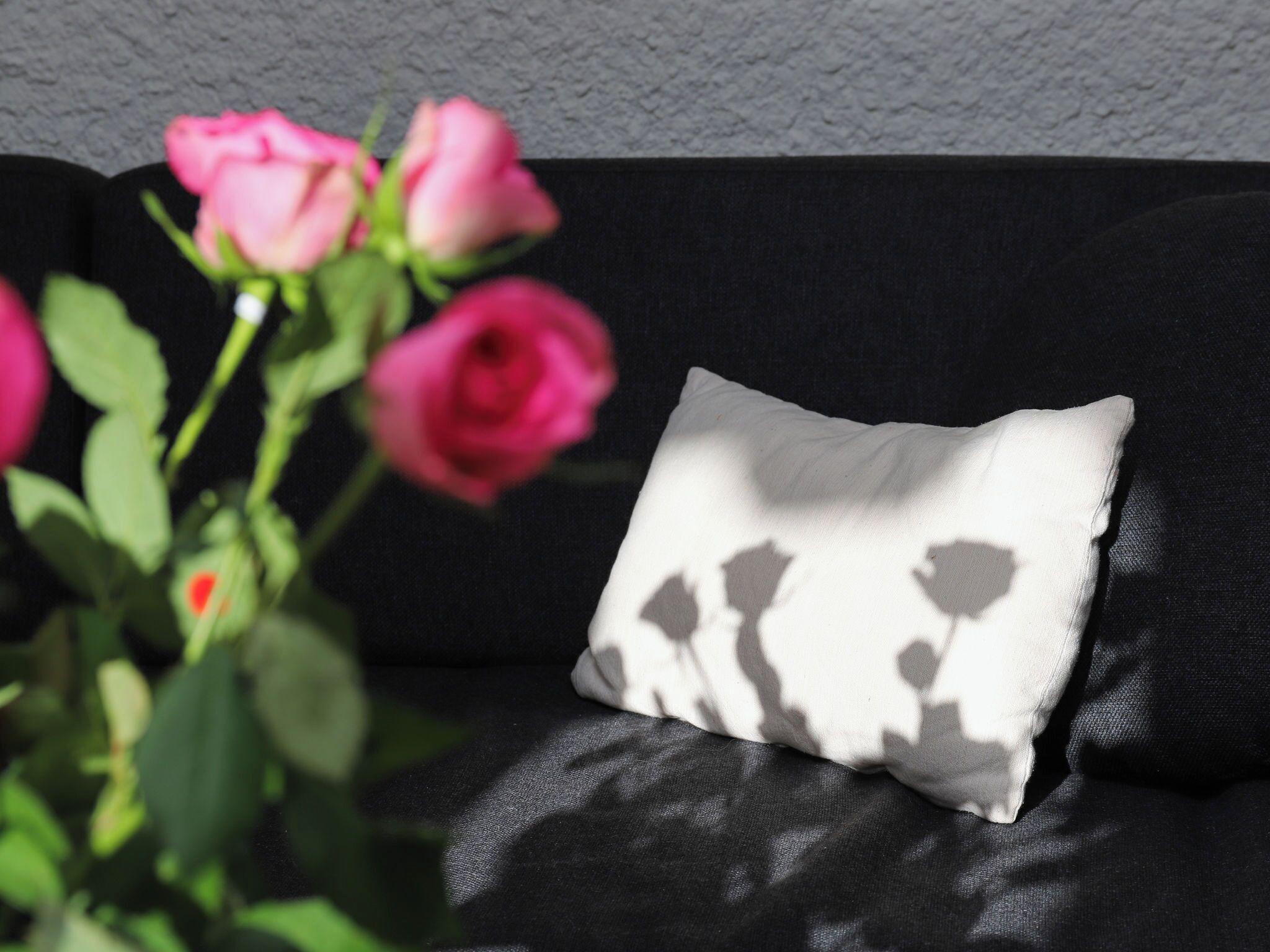 Un canapé noir avec un coussin blanc orné d’un motif floral.