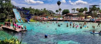 Manatee Meadows