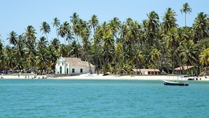 A beach with palm trees, a small white building, and a boat in the water. - Carneiros Beach Exclusive (Tamandaré)