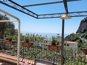 Property grounds - ALMARY HOUSE WITH SEA VIEW (Amalfi)