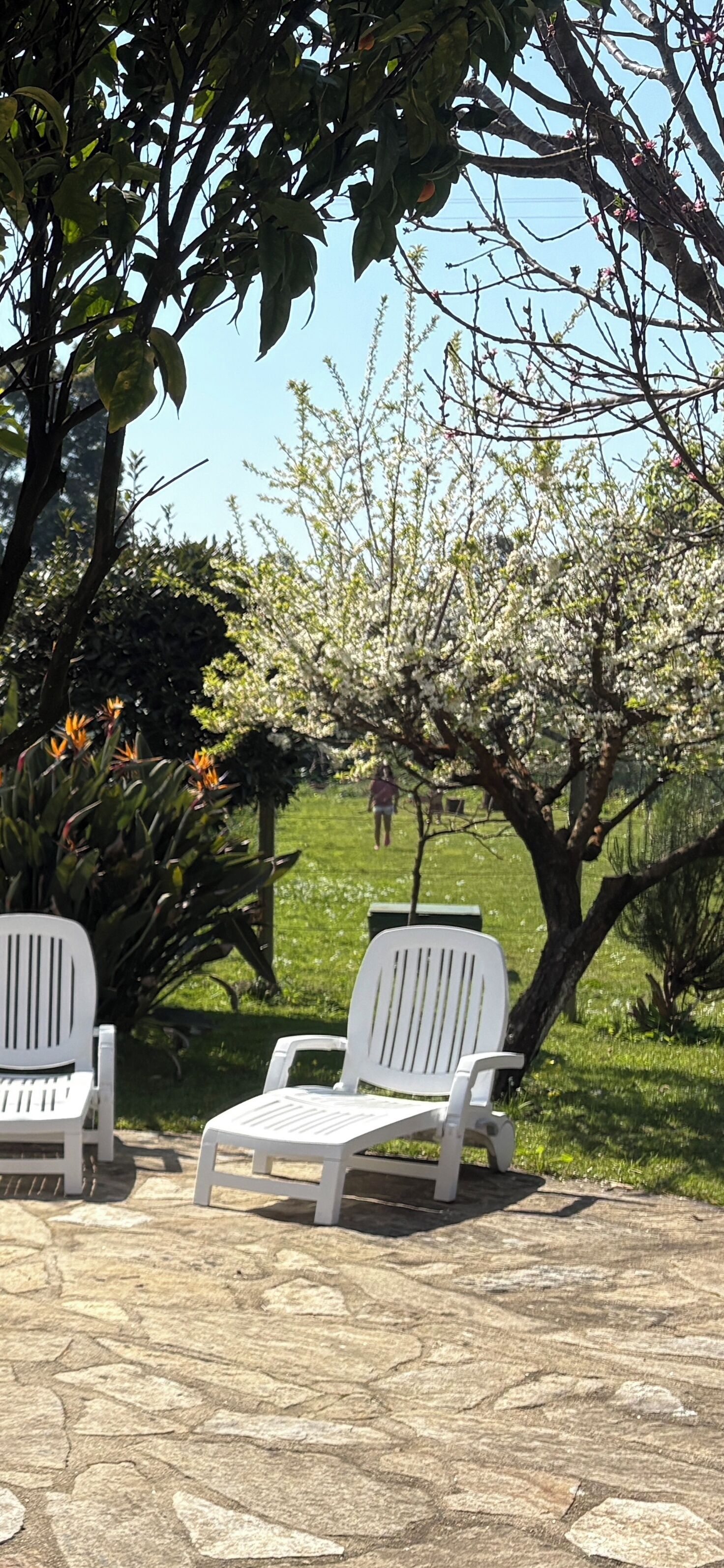 Area esterna con sedie e tavolo, immersa tra alberi e un prato.