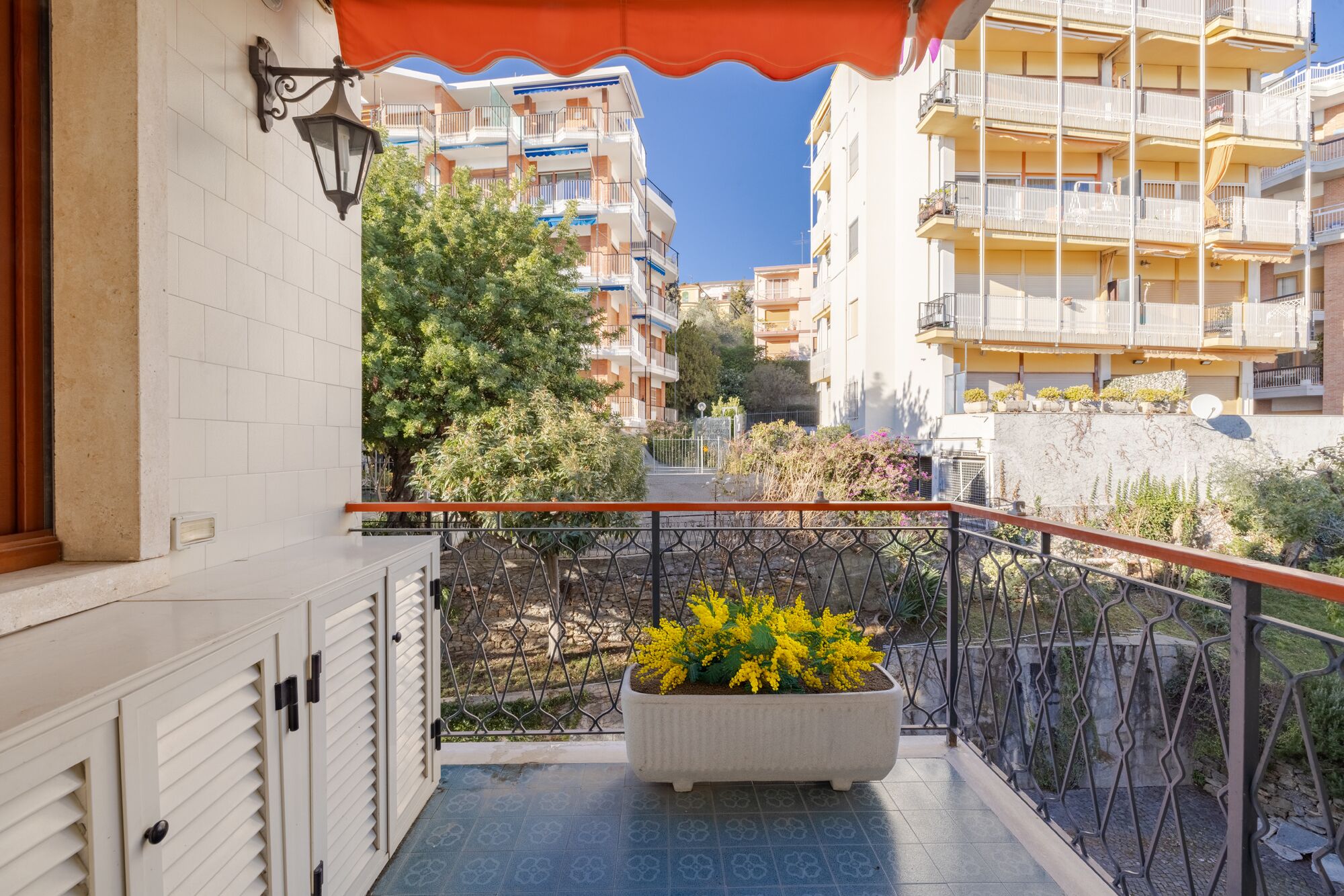 Un balcón con una planta en maceta, piso de baldosas y vista a edificios de varios pisos.