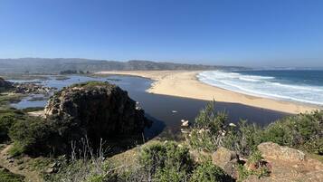 Un paysage côtier avec une plage, des affleurements rocheux et un ciel bleu dégagé.