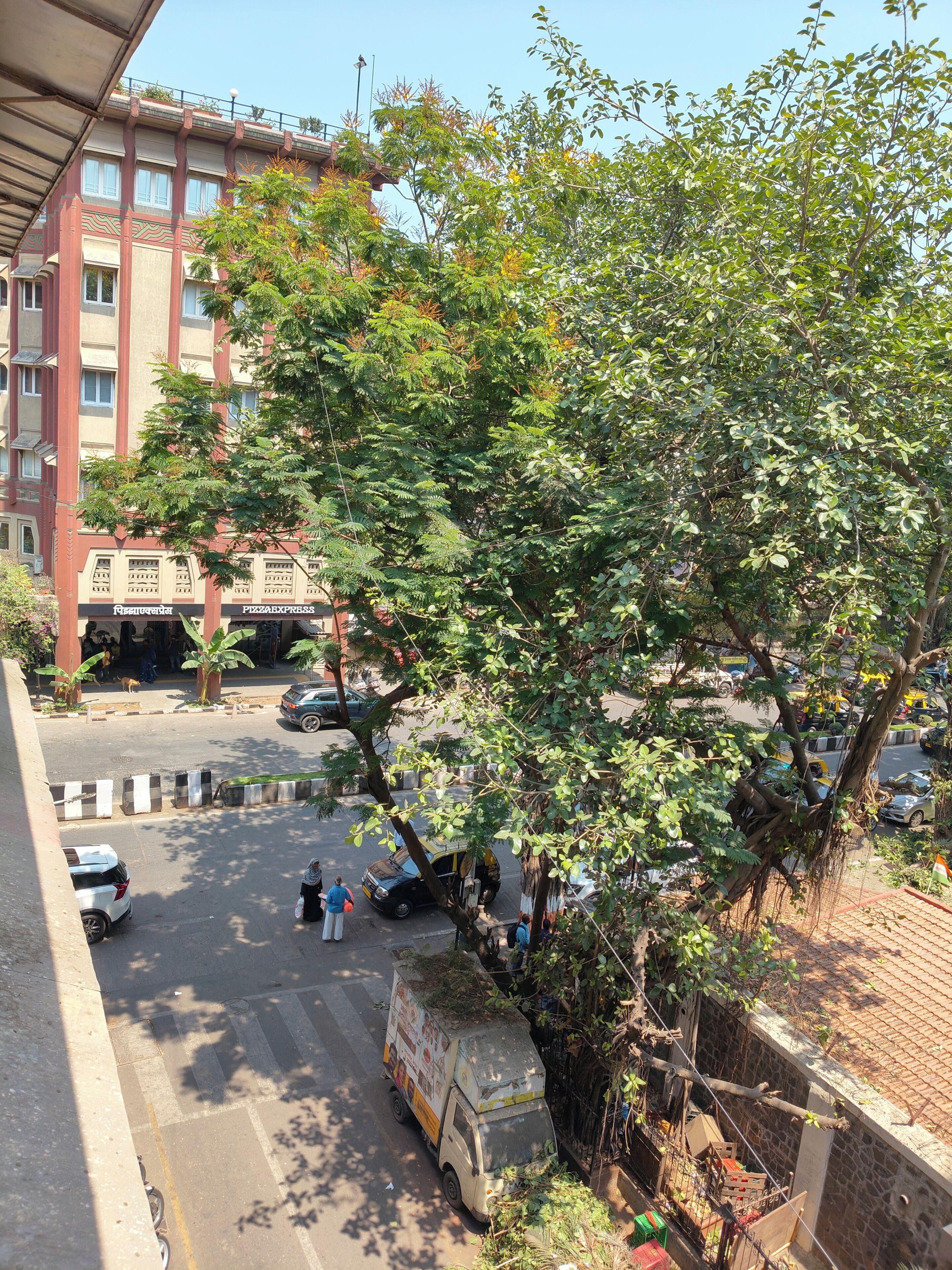 A street view with a tree, parked vehicles, and a building with signage.