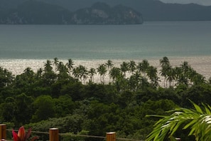 A coastal view with palm trees and a distant island.