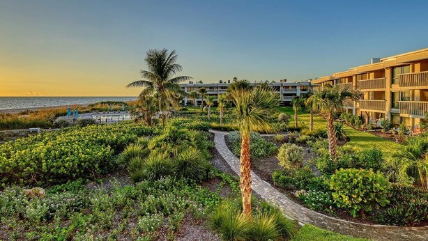 Un resort con un camino pavimentado, palmeras y vista al océano.