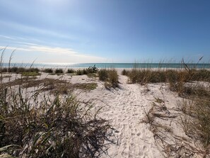 On the beach - On The Shore Longboat key (Longboat Key)