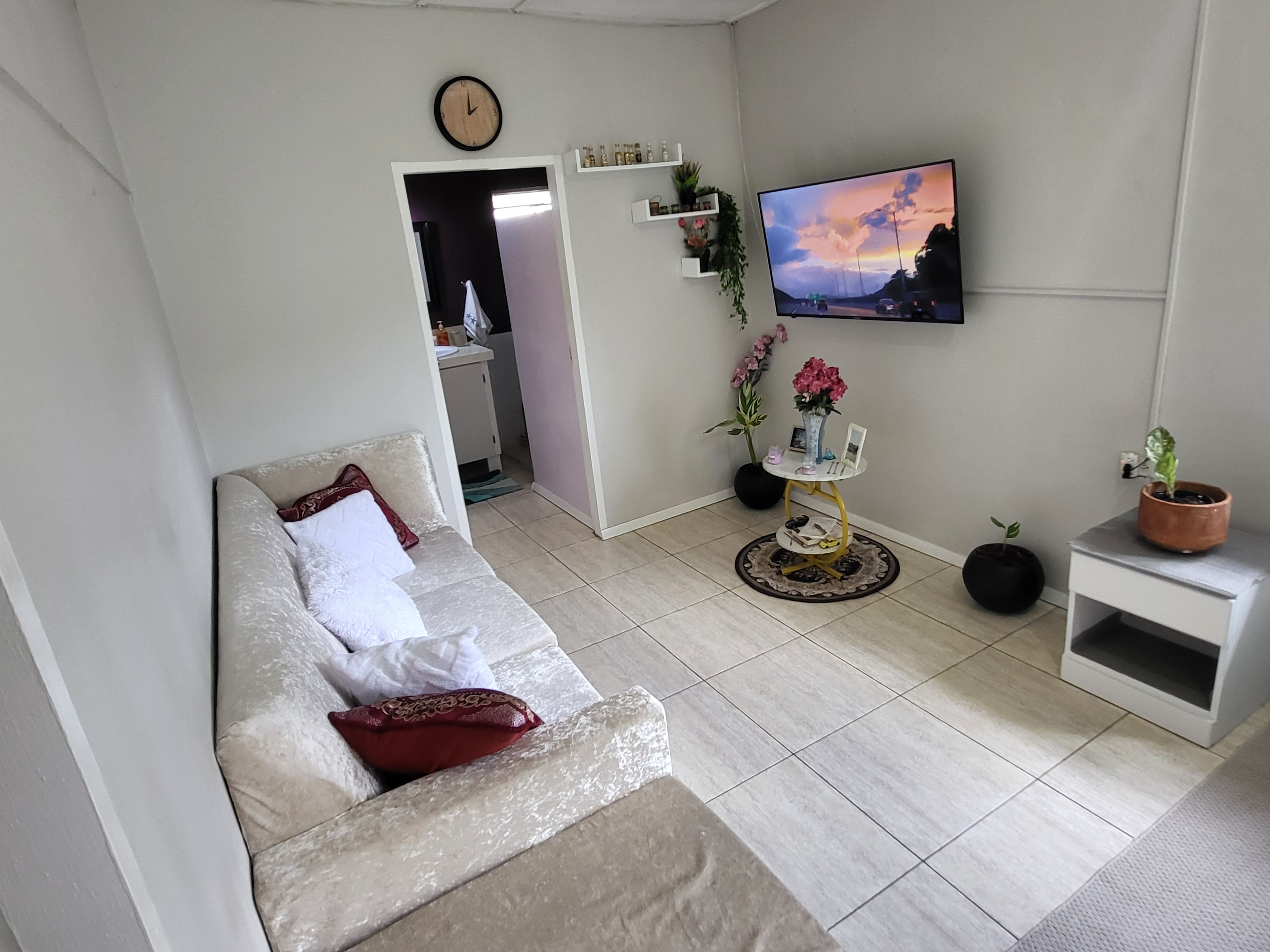 Un salon comprenant un canapé, un téléviseur fixé au mur, une petite table avec un vase et une plante en pot.