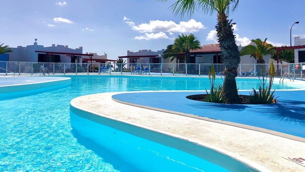 Una gran piscina al aire libre con borde curvo, rodeada de palmeras y sillas de descanso.