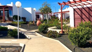 Un espacio exterior moderno con un camino de hormigón, plantas en macetas y una estructura de pérgola.