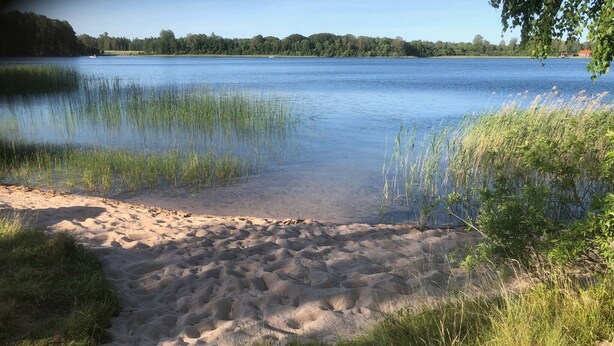 Une plage de sable avec de l’eau et de l’herbe.