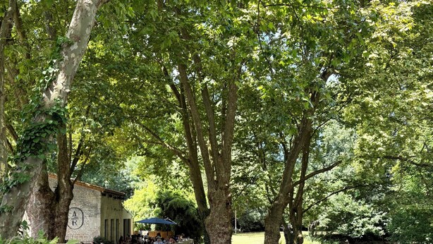 A riverside restaurant with outdoor seating, surrounded by lush greenery and trees.
