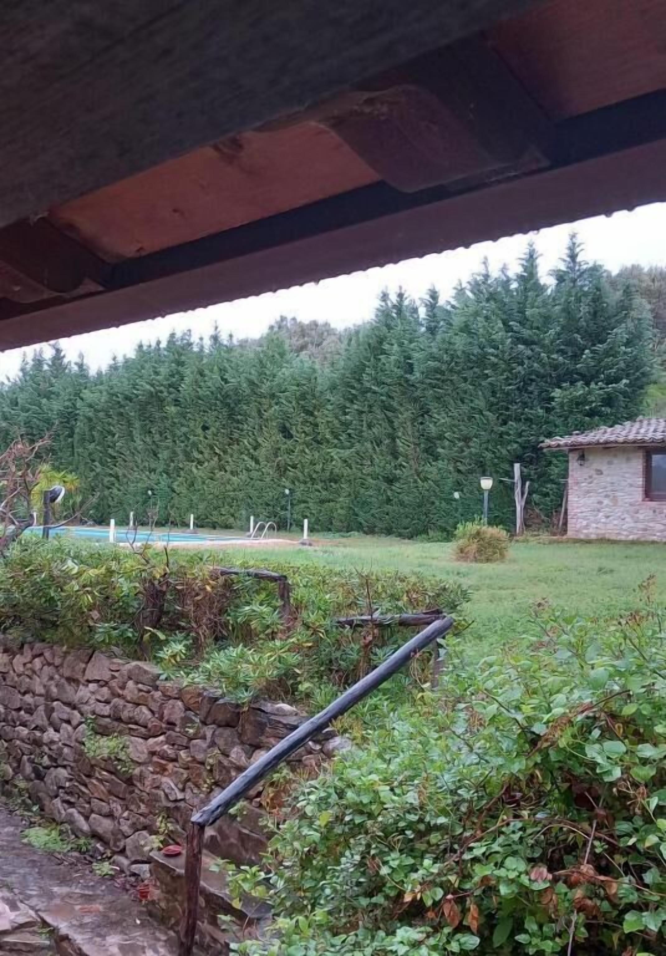 Utsikt fra rommet