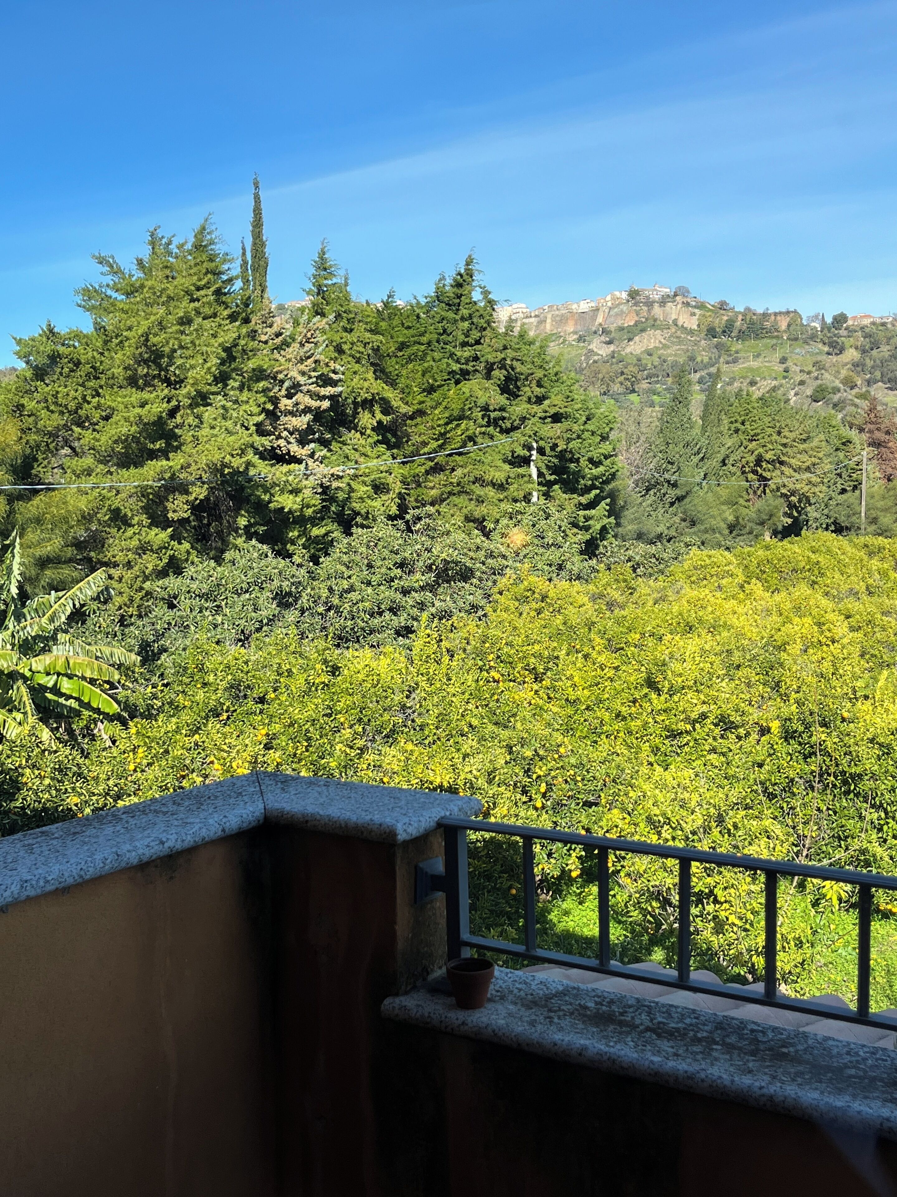 Un balcon offrant une vue sur une végétation luxuriante et une colline lointaine parsemée de bâtiments.