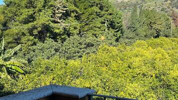 Un balcon offrant une vue sur une végétation luxuriante et une colline lointaine parsemée de bâtiments.