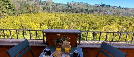 Comfort-værelse til 4 personer - balkon - udsigt til have | Udsigt fra værelset