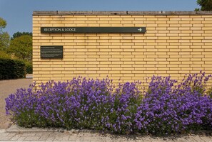 ห้องซิงเกิล | บริเวณที่พัก