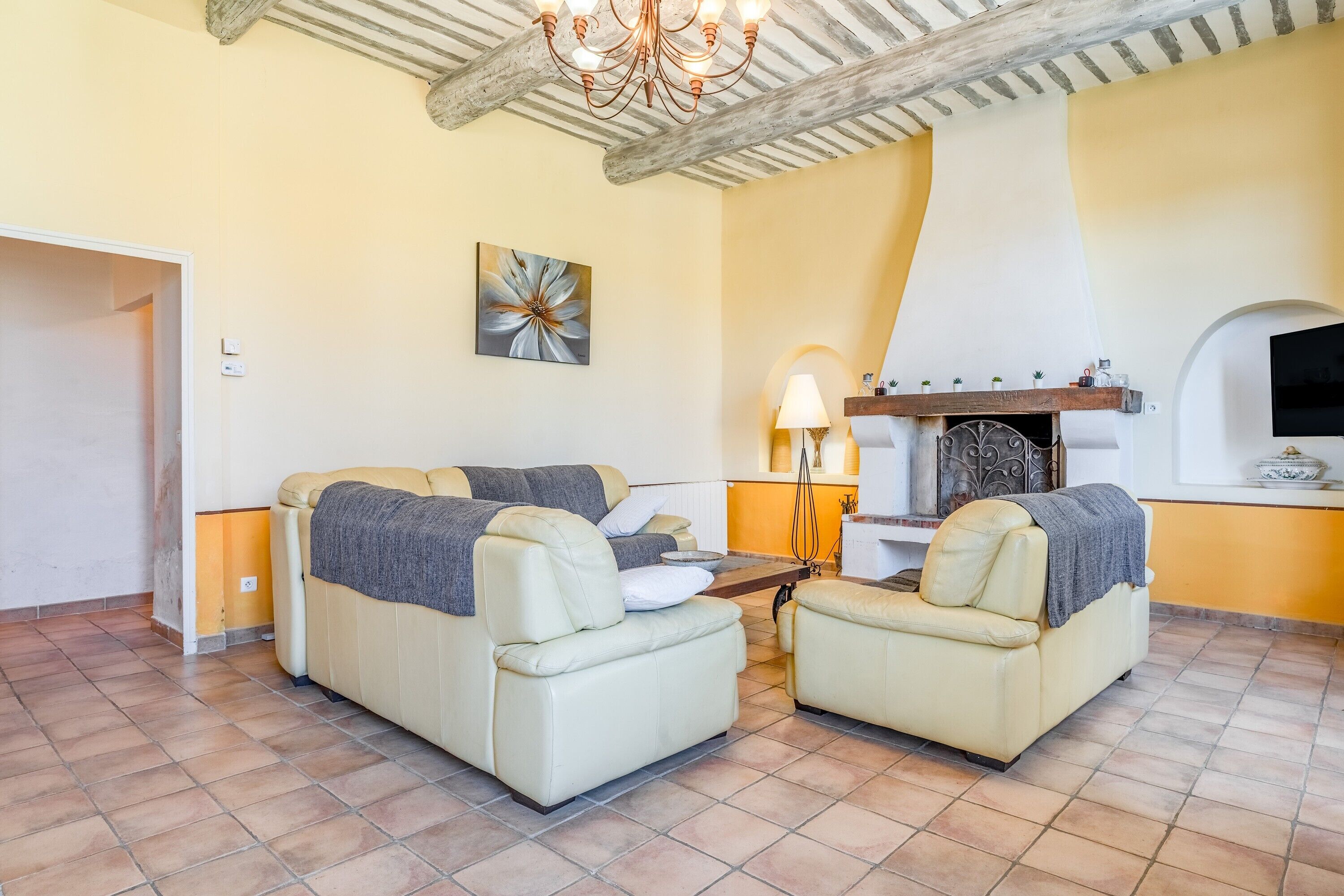 TV, fireplace, video games, DVD player