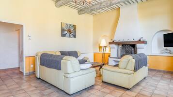 TV, fireplace, video games, DVD player