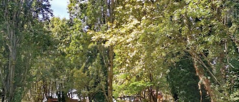 A courtyard with trees, a small brick structure, and a building with arches in the background.