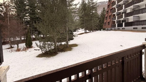 Un espace extérieur enneigé doté d’une terrasse en bois, entouré de grands arbres à feuilles persistantes.