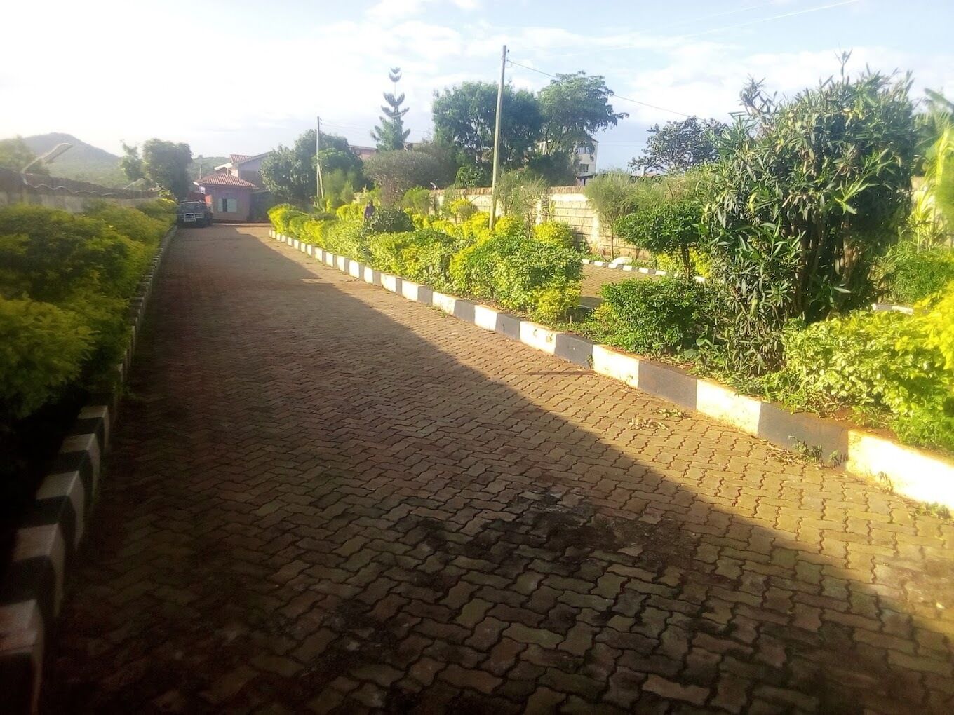 Un sendero pavimentado bordeado de vegetación y un edificio a lo lejos.