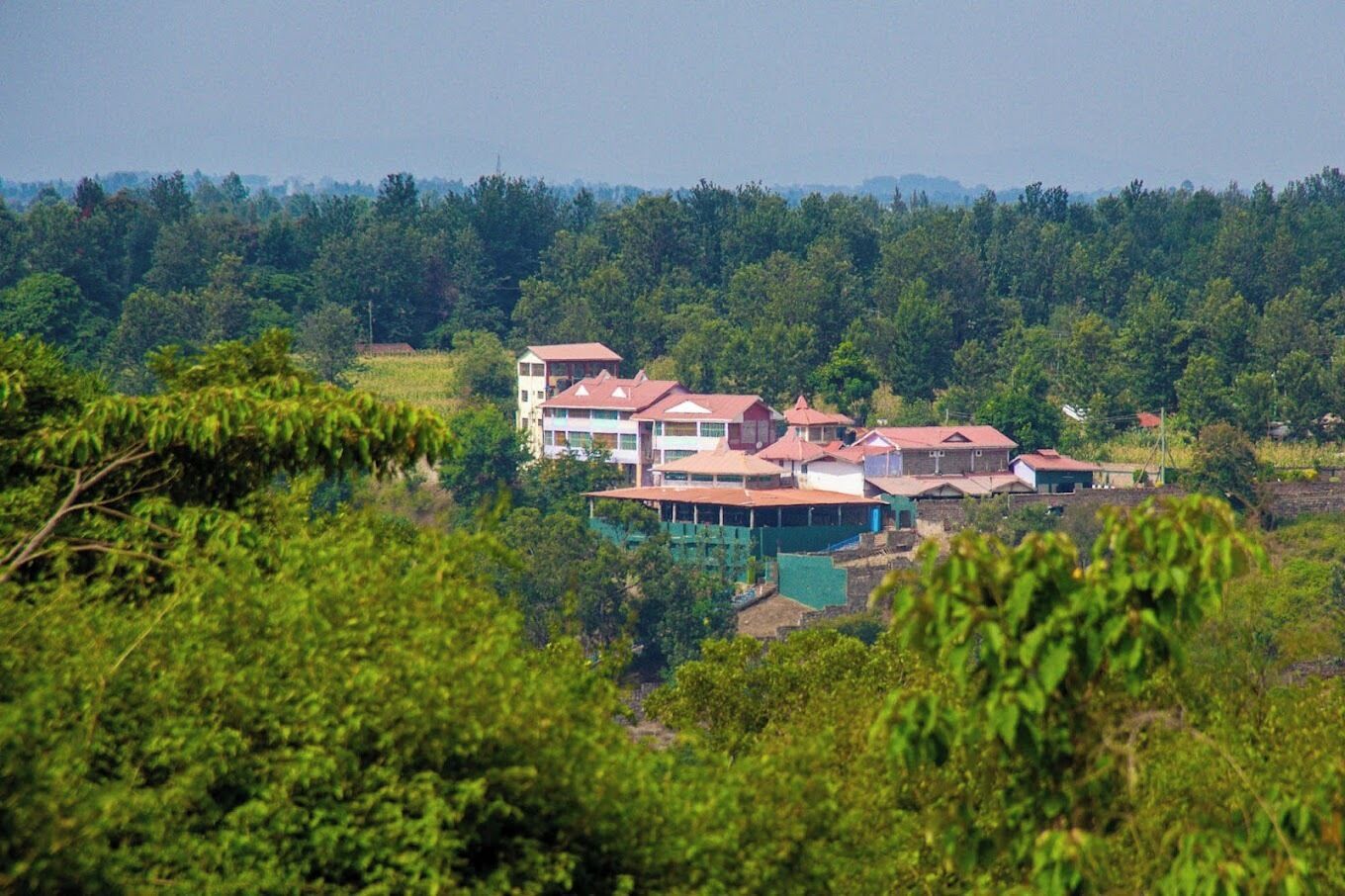 A cluster of buildings with multiple roofs, surrounded by dense greenery and trees.