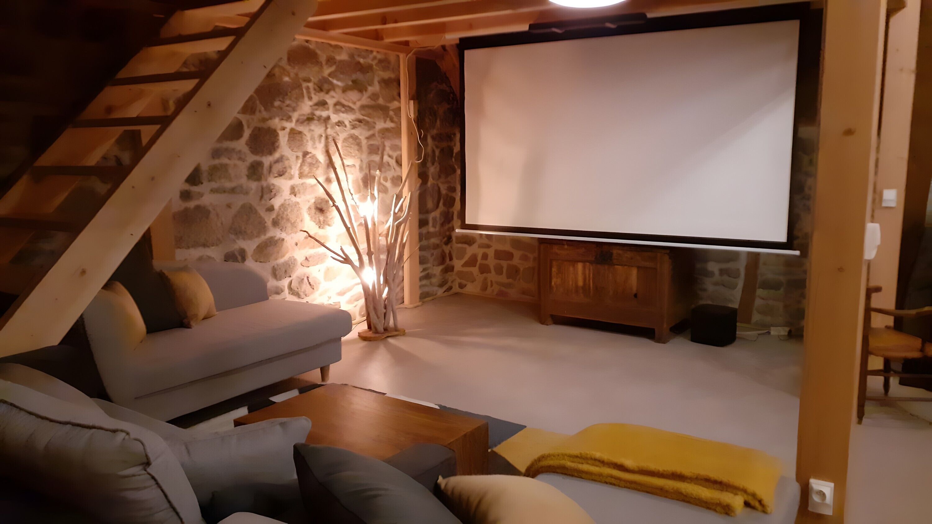 Télévision, cheminée, table de tennis de table