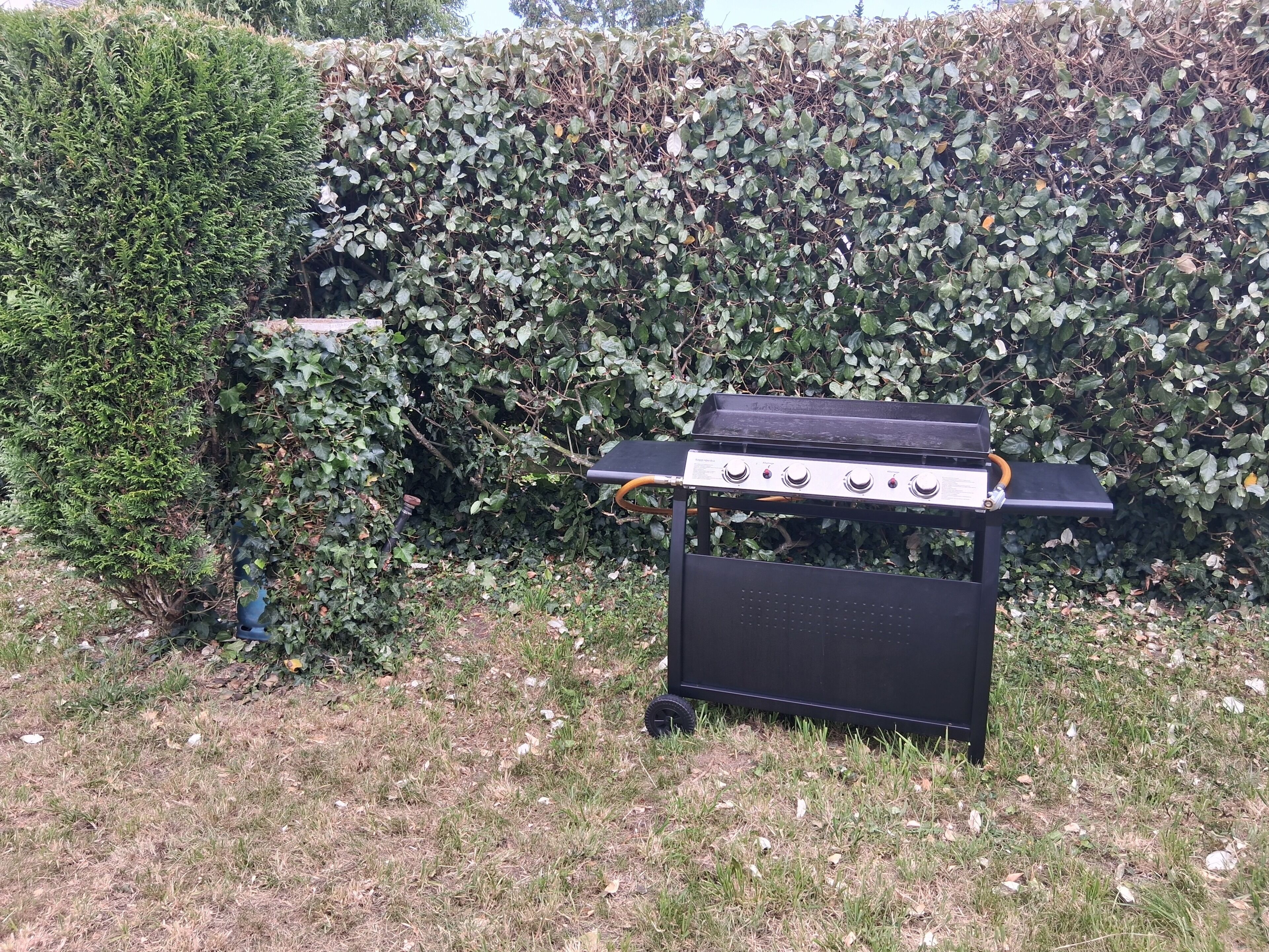 A portable barbecue grill with four burners, positioned on grass with a hedge in the background.