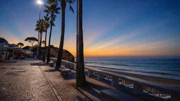 Un paseo marítimo con bancos, palmeras y vistas al atardecer.