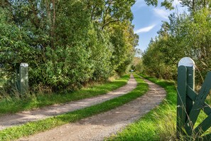 Een grindpad wordt afgeboord door weelderige begroeiing en houten palen.