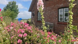 A brick house with a thatched roof, a blue awning, and a bench. - Apartment Vogelkoje with Shared Garden and Wi-Fi (Pellworm)