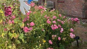 A brick house with a thatched roof, a white arrow sign, and a garden with pink flowers. - Apartment Vogelkoje with Shared Garden and Wi-Fi (Pellworm)