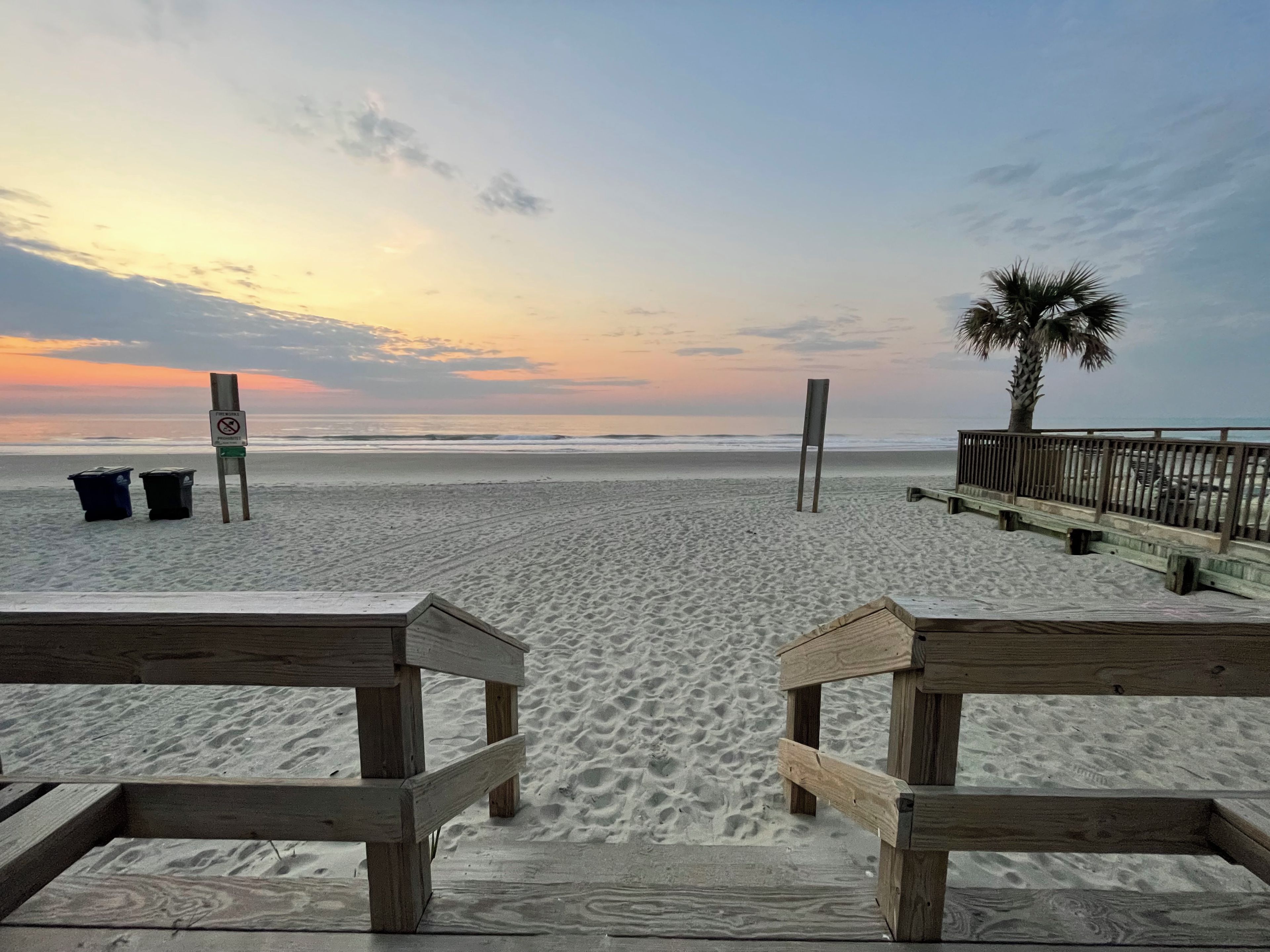A beach view with wooden benches, a palm tree, and a sign.