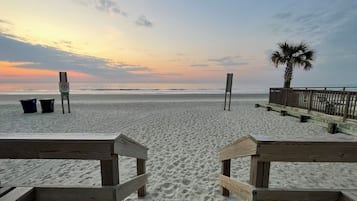A beach view with wooden benches, a palm tree, and a sign.