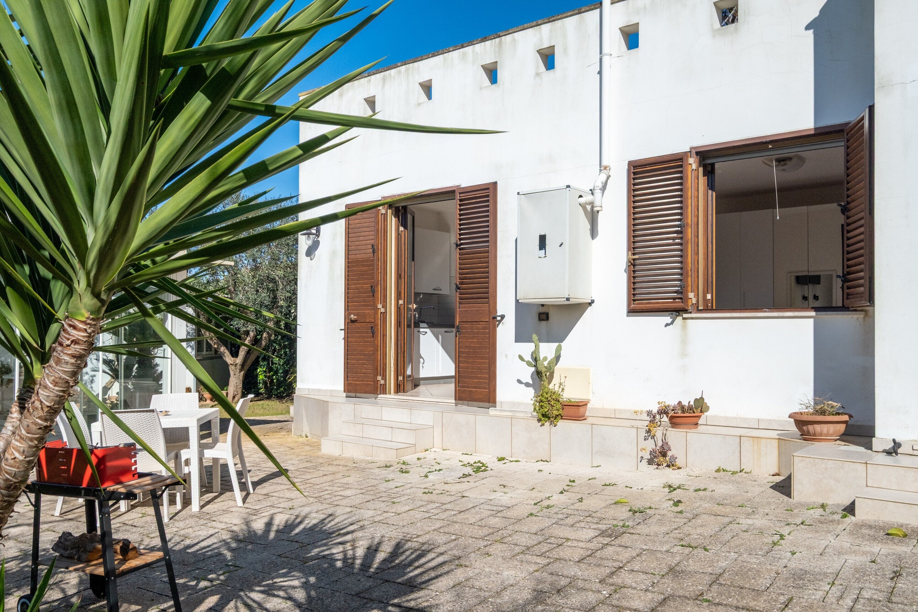 テラス / パティオ