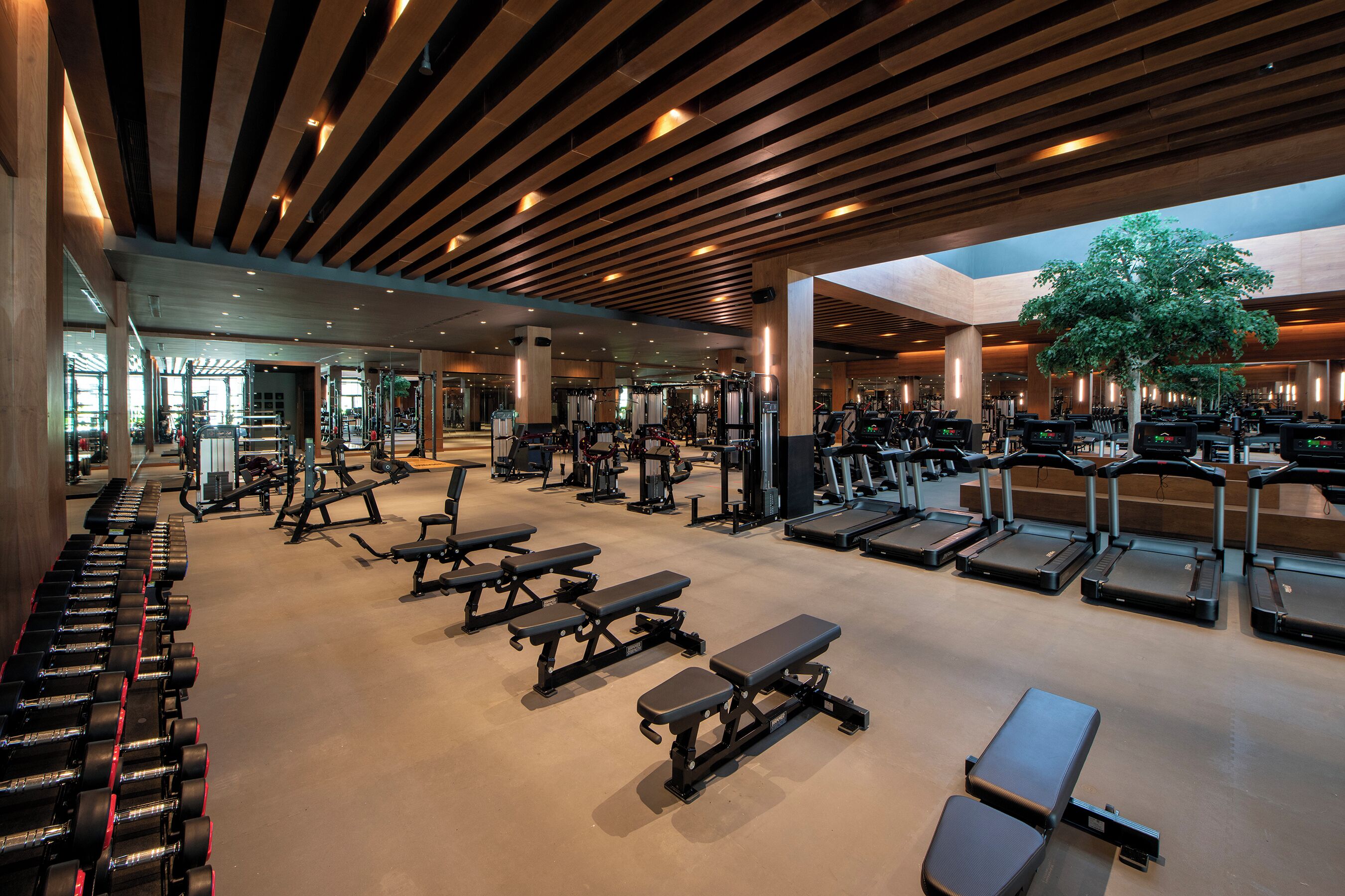 A gym with various exercise equipment, including treadmills, dumbbells, and benches.