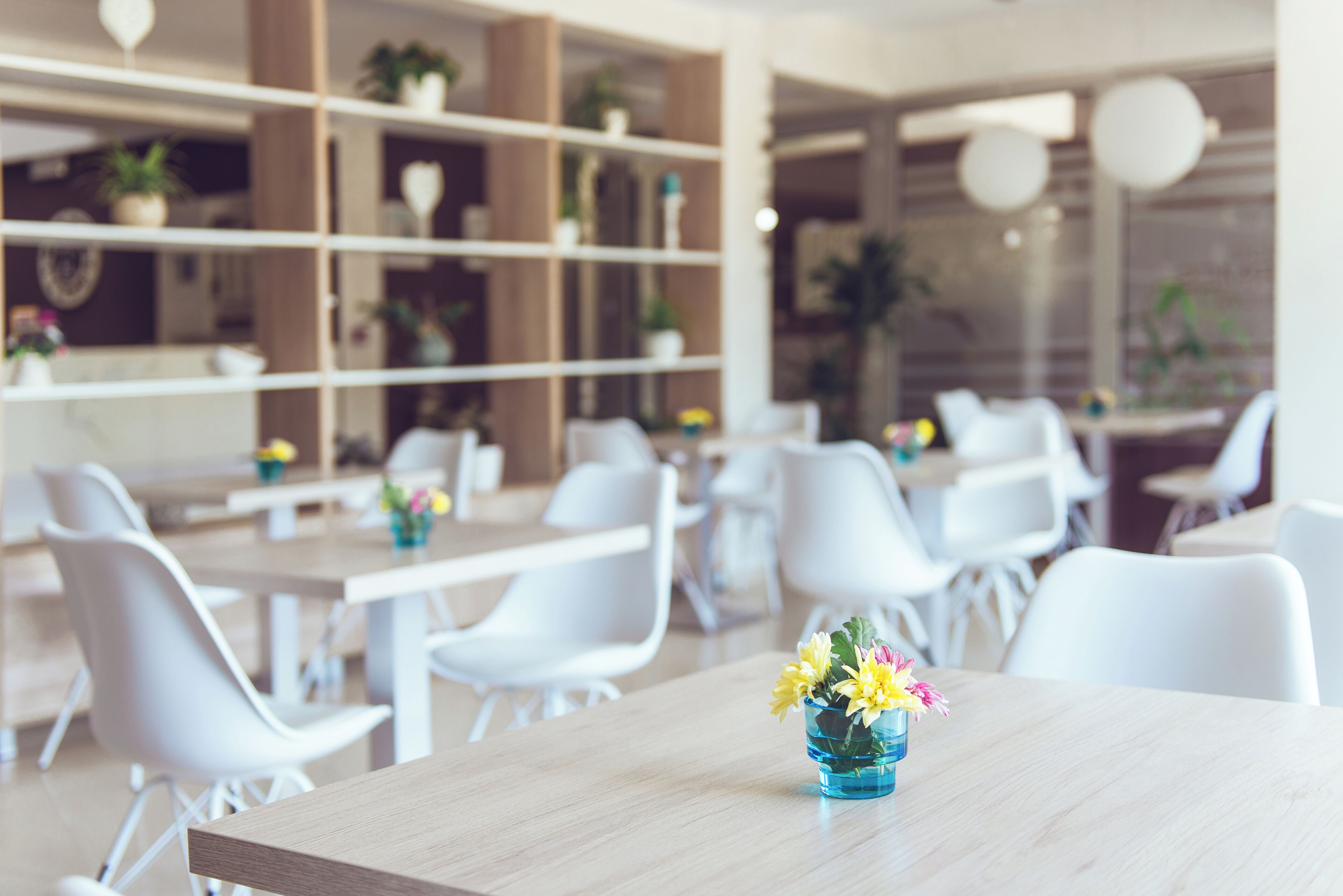 A modern dining area with white chairs and tables, a blue vase with flowers, and shelves with plants.